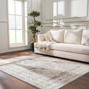 Living room with cream sofa and Brend Taupe Medallion Area Rug. Farmhouse style with vintage rug. Roomscene-Rectangle