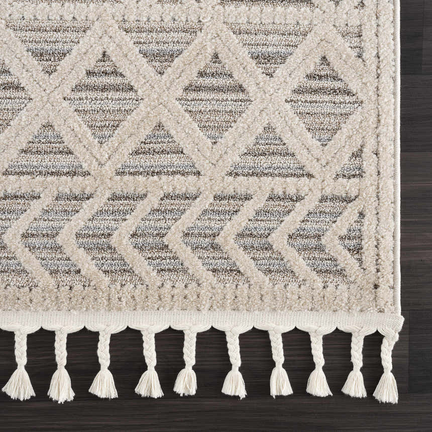 Close-up of Magnolia Beige 2301 Area Rug showing geometric pattern, beige and brown tones, and braided fringe detail. Corner