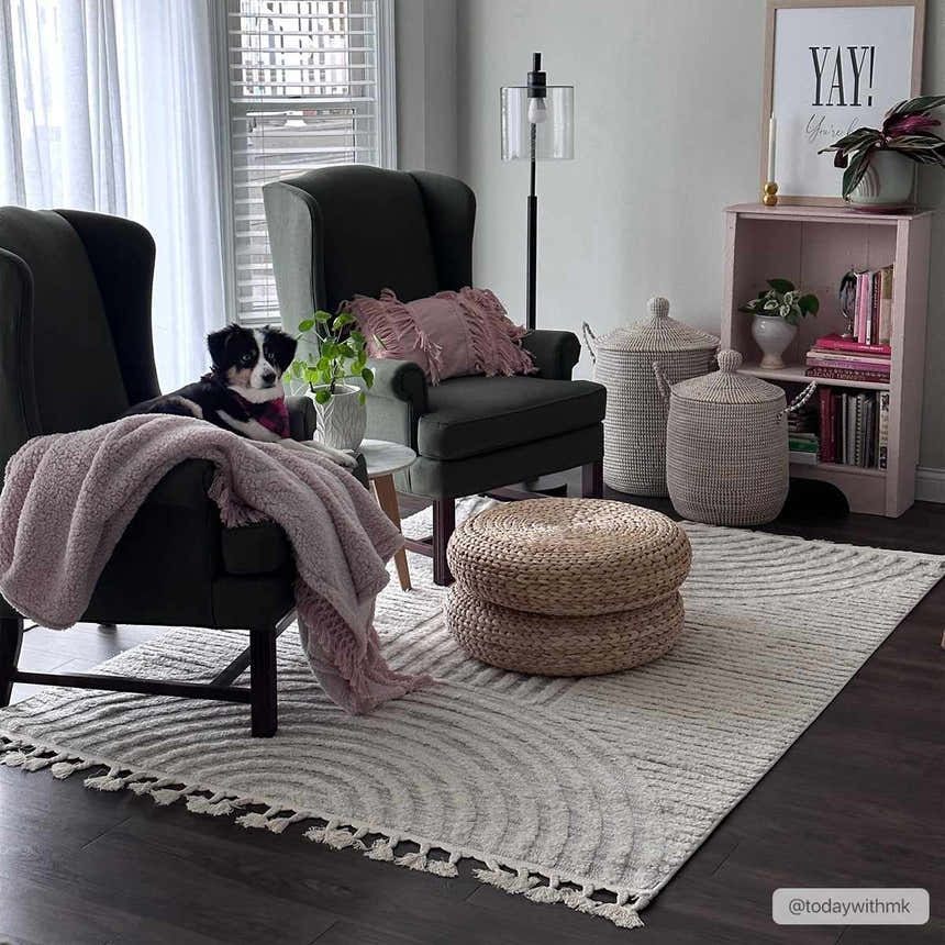 Living room scene with gray armchairs and Dauin 3D Rainbow Area Rug. Dog relaxing on chair with pink throw. Roomscene-Rectangle