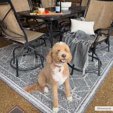 Outdoor patio scene with a happy dog sitting on the Diah Black & Bone Area Rug under a dining table. Roomscene-Rectangle