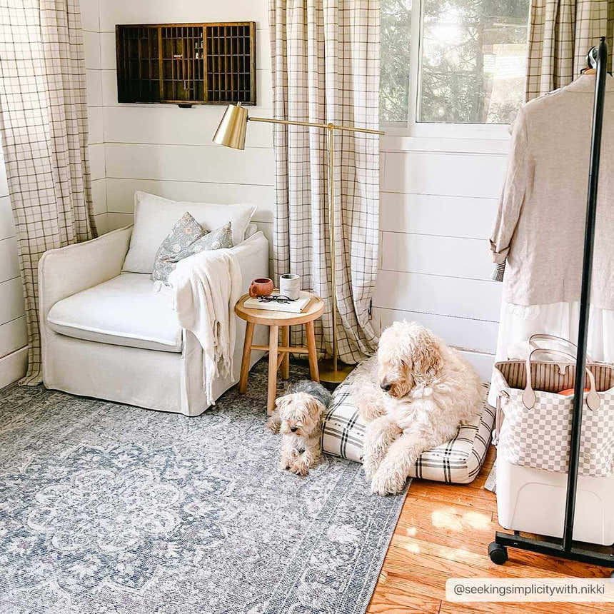 Cozy reading nook with a Greenpoint Dusty Blue Washable Rug, white armchair, and two cute dogs. Roomscene-Rectangle