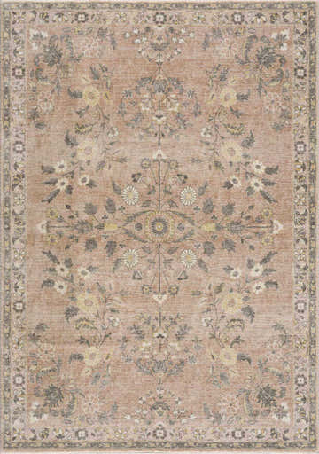 Close-up of the Coalburn Area Rug. Traditional floral pattern in cream, gray, pale pink, peach, sage, and wheat. Design-Rectangle-5377