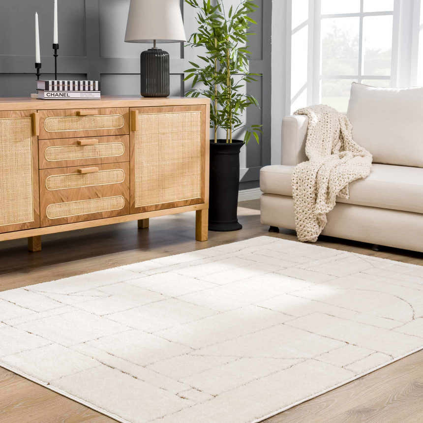 Living room scene with a beige Keats Area Rug, wood cabinet, sofa, and plant. Roomscene-Rectangle
