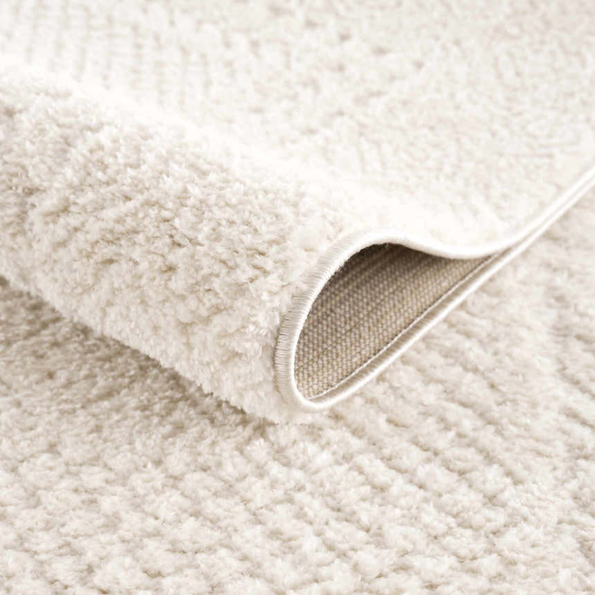 Close up of the Julio Ivory Area Rug showing its plush pile, woven texture, and backing. Fold