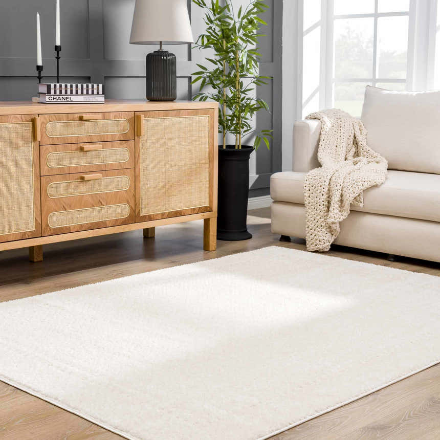 Living room scene with a light wood cabinet, sofa, and the ivory Julio Area Rug. Roomscene-Rectangle