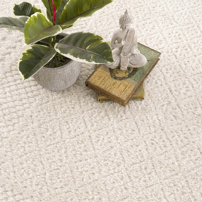 Close-up of the ivory Julio Area Rug, a soft, textured rug with a potted plant and Buddha statue. Styleshot