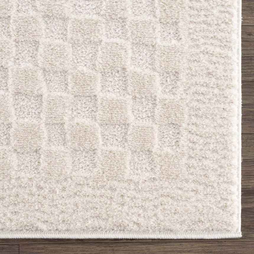 Close-up of the Leryn Ivory Checkered Area Rug showing its textured, geometric checkered pattern and soft beige and ivory tones. Swatch