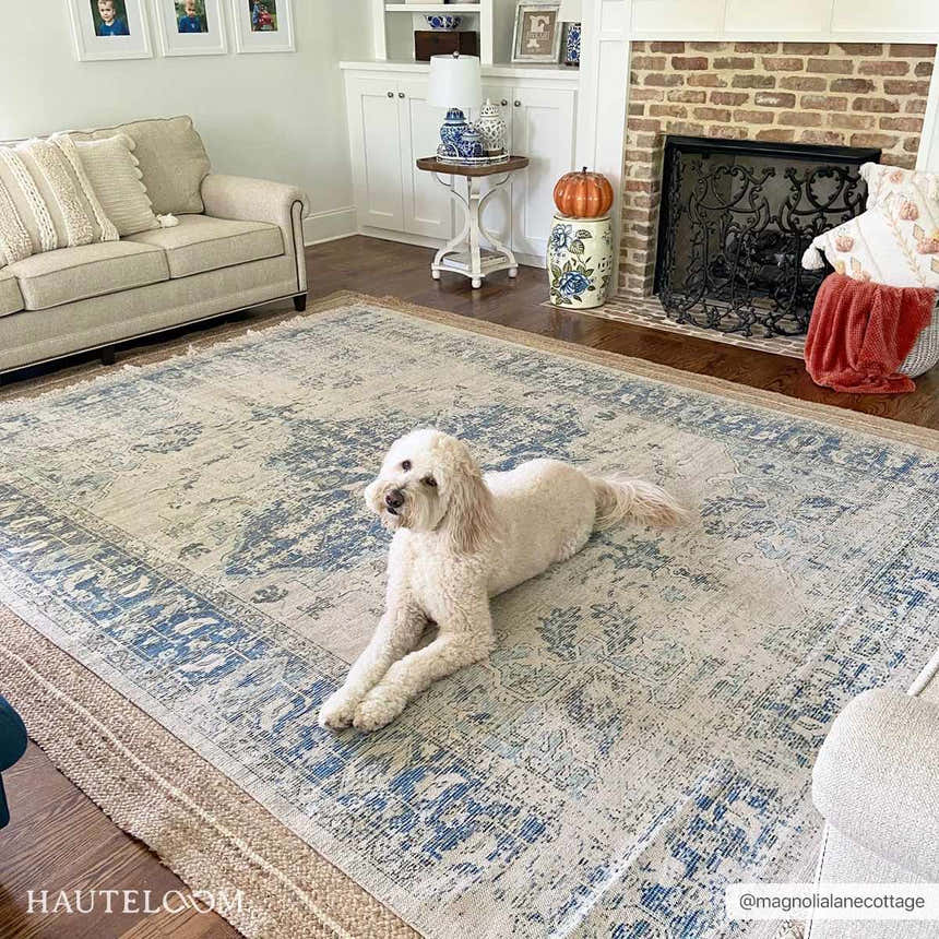 Living room scene with a dog relaxing on the aqua and blue Fairlands Handmade Cotton-blend Rug. Neutral sofa and brick fireplace. Roomscene-Rectangle
