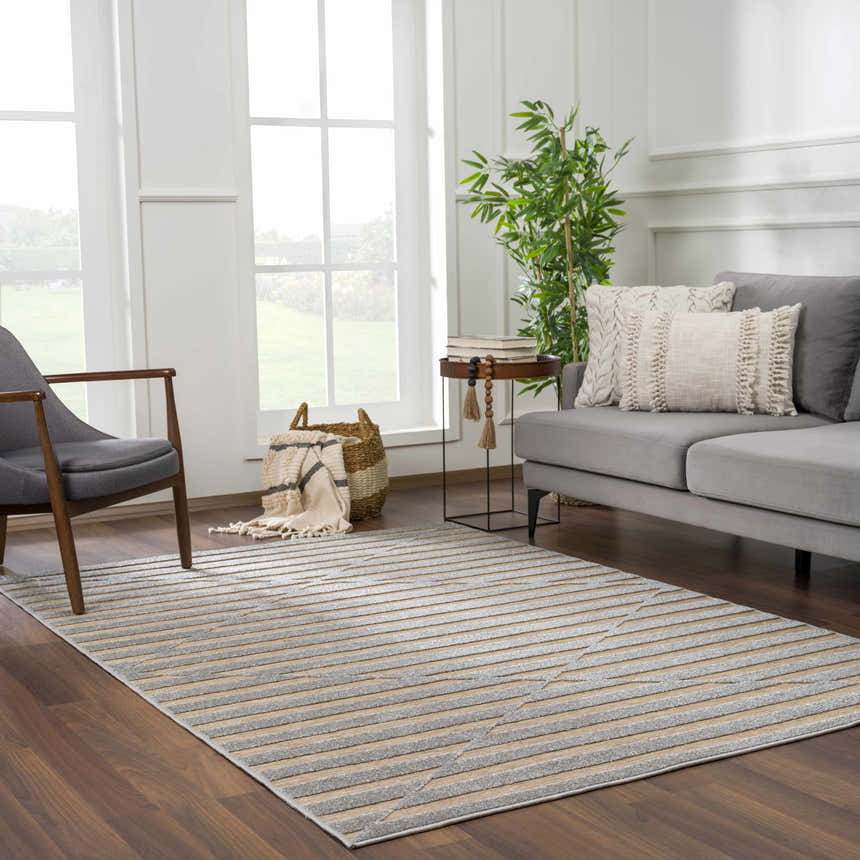Living room scene with gray sofa and Webuye 3D Outdoor Area Rug in dark gray and light peach. Roomscene-Rectangle