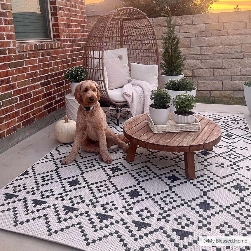 Cozy patio scene with a dog on the Haynesville Moroccan Design Pixel Rug. Black and white rug under a wooden table and wicker chair. Roomscene-Rectangle