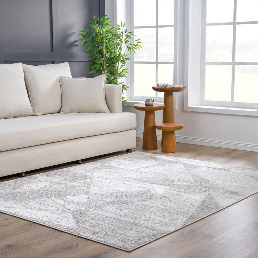 Living room scene with a gray Basia Area Rug, light sofa, wood side tables, and a houseplant near a bright window. Roomscene-Rectangle