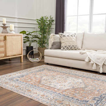 Living room scene with a Gael Rust Boutique Washable Rug, beige sofa, wood cabinet, and plants. The rug has a vintage, traditional pattern. Roomscene-Rectangle