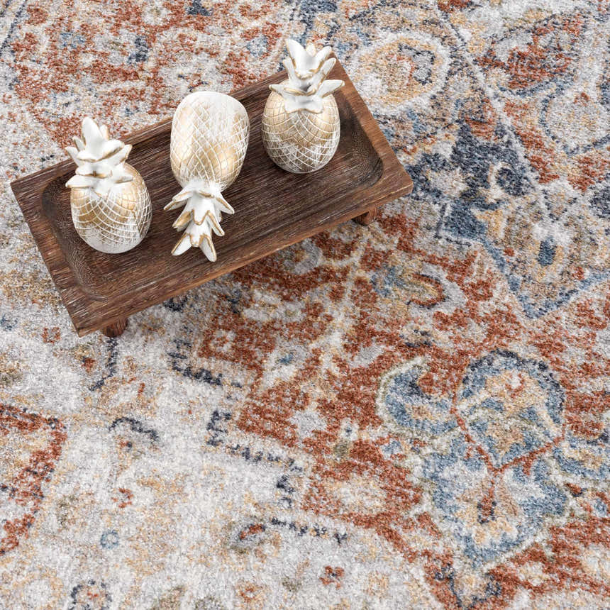 Close-up of the Akram Gray & Orange Washable Area Rug, showing its traditional vintage pattern and soft polyester texture. Styleshot