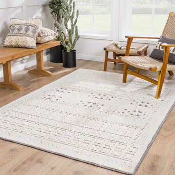 Living room scene with Bahar Cream & Gray Washable Area Rug, wood bench, woven chairs, and potted plants. Roomscene-Rectangle