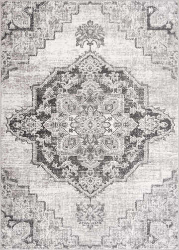 Close-up of the Elani Area Rug. Cream and light gray oriental rug with a traditional vintage design and intricate patterns. Design-Rectangle-46