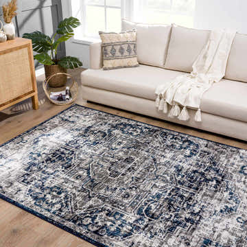 Living room scene with a Buenaventura Navy area rug, beige sofa, wood cabinet, and indoor plant. Roomscene-Rectangle