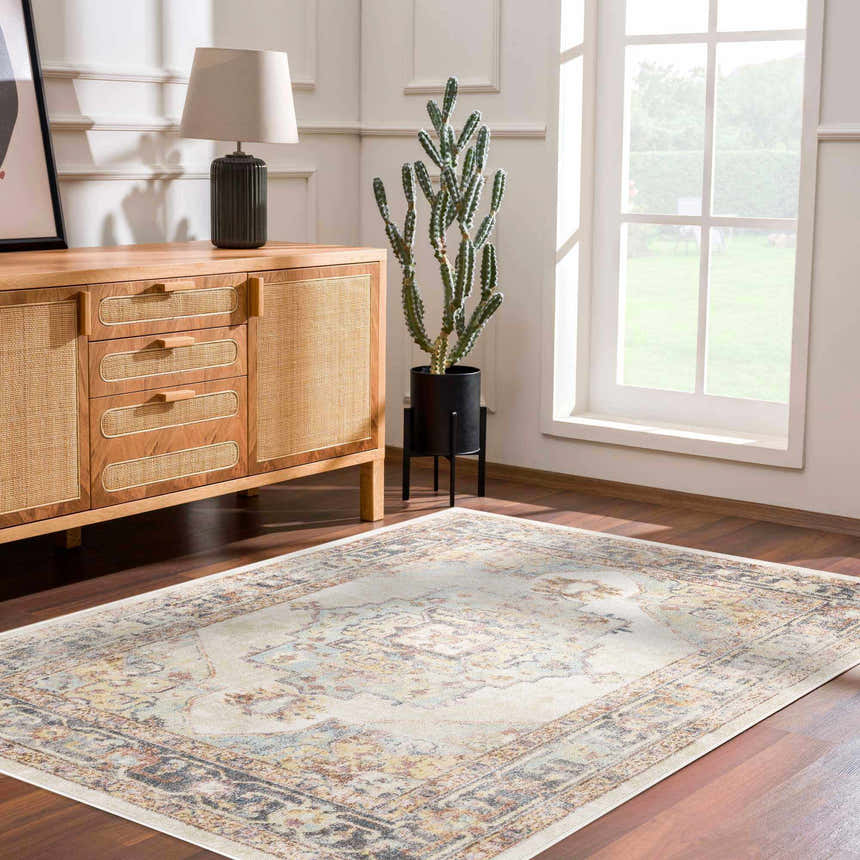 Living room scene with a beige Hillcrest Area Rug, wood cabinet, lamp, and cactus near a window. Roomscene-Rectangle