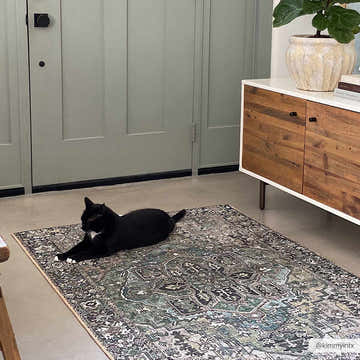 Entryway scene with a black cat lounging on the Neyland Sage Green Area Rug. Features sage green doors and a wood cabinet. Roomscene-Rectangle