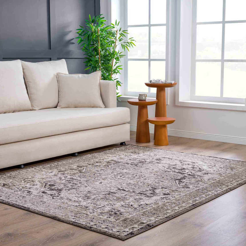 Living room scene with a beige sofa and Albie Charcoal & Beige Area Rug. The rug has a traditional, distressed pattern. Roomscene-Rectangle