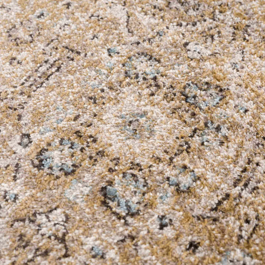 Close-up of Anana Gold & Beige Area Rug showing its traditional floral pattern and soft, textured pile. Texture