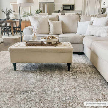 Living room scene with a neutral sectional sofa and the Eley Traditional Area Rug in light gray and brown tones. Roomscene-Rectangle