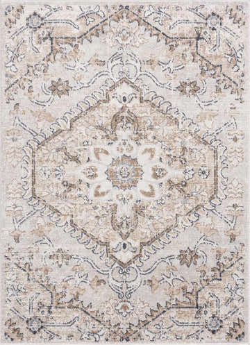 Close-up of the Mudgee Area Rug. Traditional oriental design in charcoal, cream, beige, gray, and tan. Machine woven texture. Design-Rectangle-527