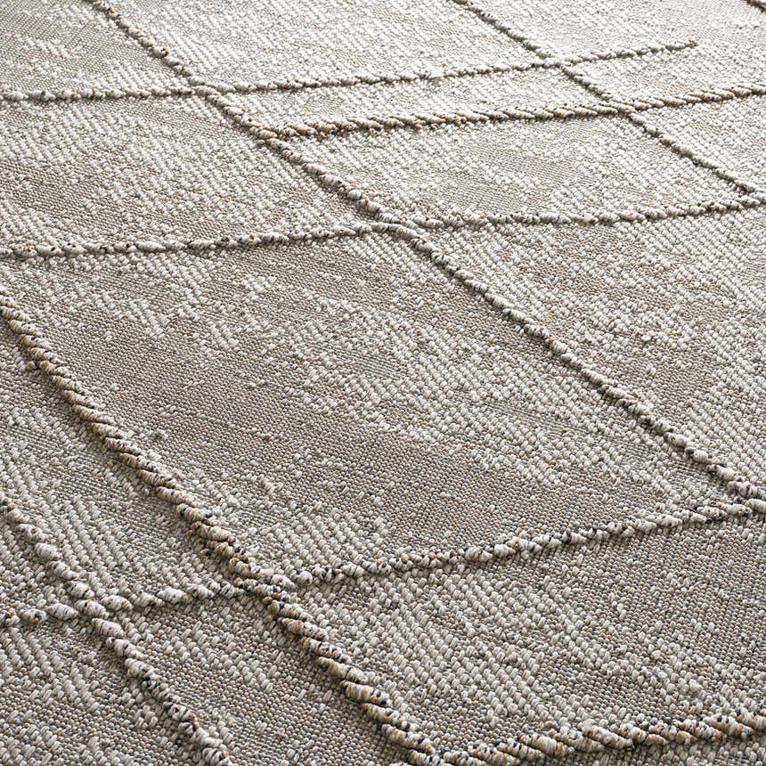 Close-up of the textured Baqer Bone & Tan Performance Rug, showing its woven design and neutral colors. Texture