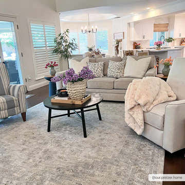 Living room with gray sofa and Semaphore Thick Luxe Area Rug in gray, light blue, and white. Roomscene-Rectangle