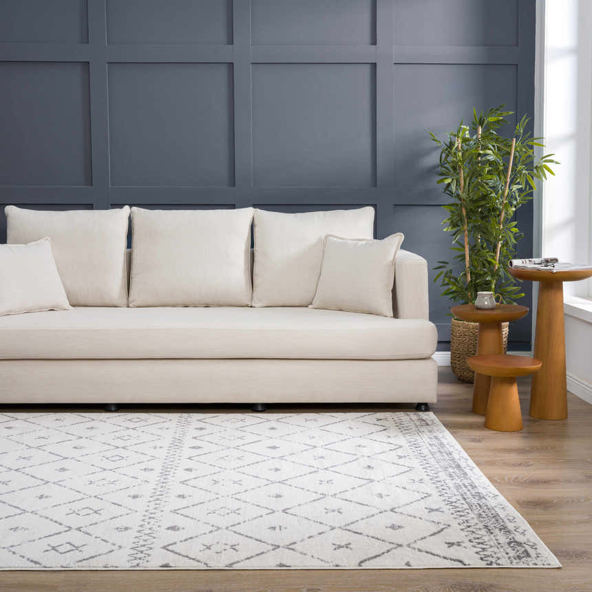 Living room scene with a cream sofa and gray and white Tigris Area Rug. Roomscene-Rectangle