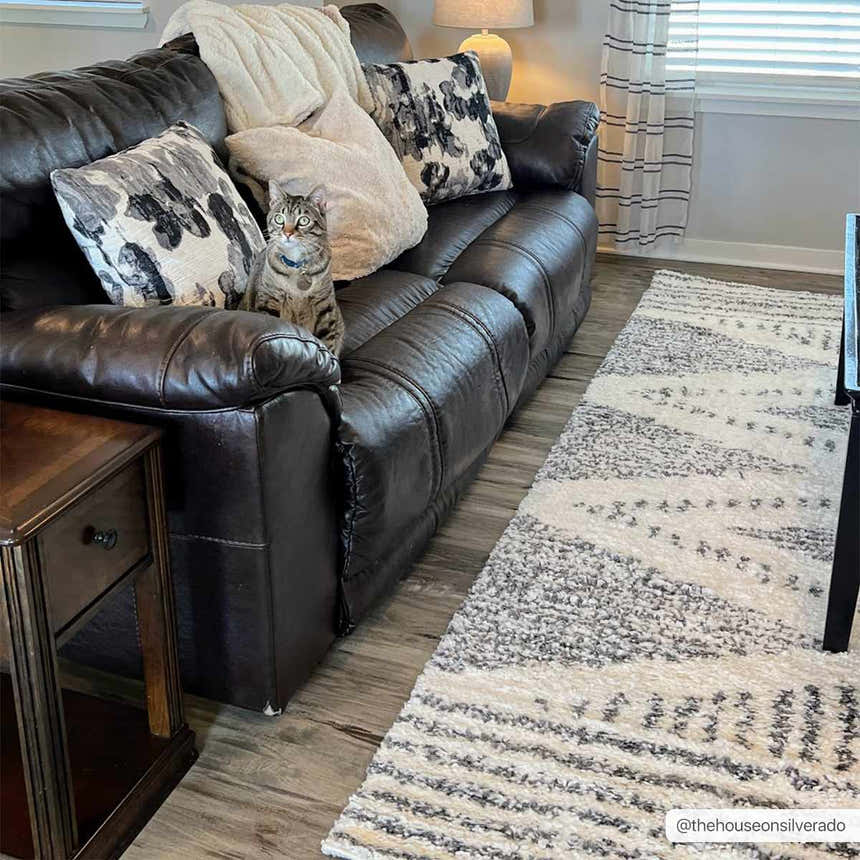 Living room scene with a Trunding Plush Area Rug, brown leather sofa, and a tabby cat sitting on the sofa. Roomscene-Rectangle