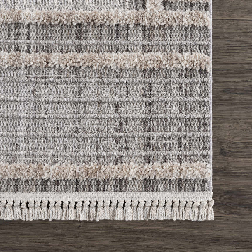 Close-up of the Amaga High-Low Rustic Rug showing the geometric pattern, cream shag stripes, and tassel fringe detail. Swatch