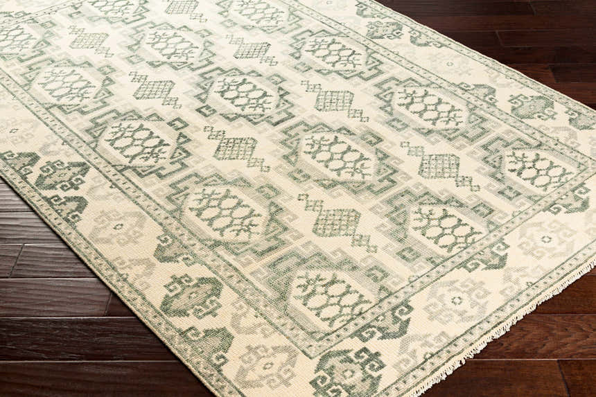Close-up of the Aloleng Area Rug. Hand-knotted wool rug in light beige and sage with a traditional geometric pattern. Corner