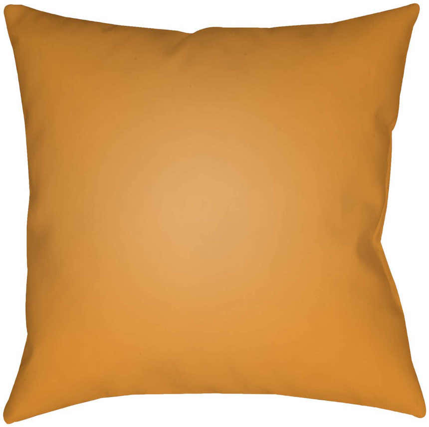 Apad Outdoor Throw Pillow