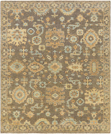 Detailed view of the Asotin hand knotted wool area rug with burnt orange, charcoal, mustard, and seafoam oriental design. Design-Rectangle-810