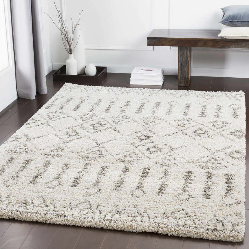 Living room scene with Aylett Beige Trellis Shag Rug, dark wood floors, bench, white walls, and neutral decor. Roomscene-Rectangle