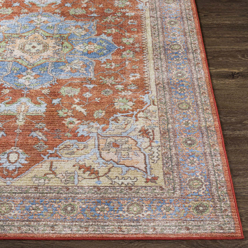 Close-up of the Bacoor Washable Area Rug. Features a traditional Oriental design in beige, brick red, denim, and sage. Front