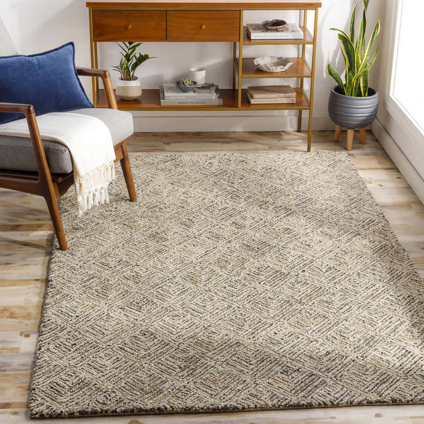 Living room scene with a Barahan Area Rug, wood console table, potted snake plant, and gray armchair with a blue pillow. Roomscene-Rectangle