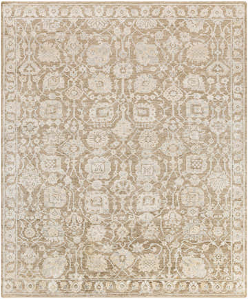 Close-up of the Beldon Area Rug. Hand-knotted rug in gray, light beige, slate, and taupe with a traditional oriental pattern. Design-Rectangle-810
