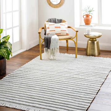 Light gray Benek Area Rug in a bright, modern living room with wood floors, gold side table, and woven chair. Roomscene-Rectangle