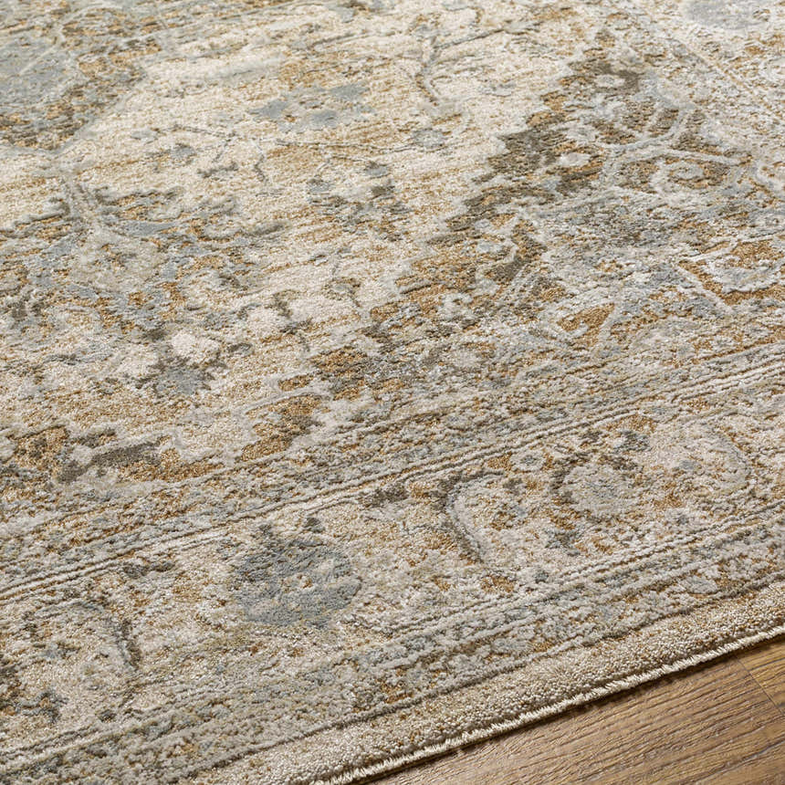 Close-up of the Ballisodare Thick Luxe Boutique Rug showing its beige, gray, and brown oriental pattern and soft texture. Texture