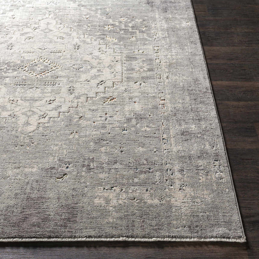 Close-up of the Boli Distressed Statement Rug showing its gray, ivory, and light olive tones and vintage-inspired pattern. Front