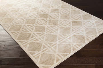 Close-up of the Bridgeland Area Carpet. Light gray and tan viscose rug with a geometric lattice pattern on dark wood floors. Corner
