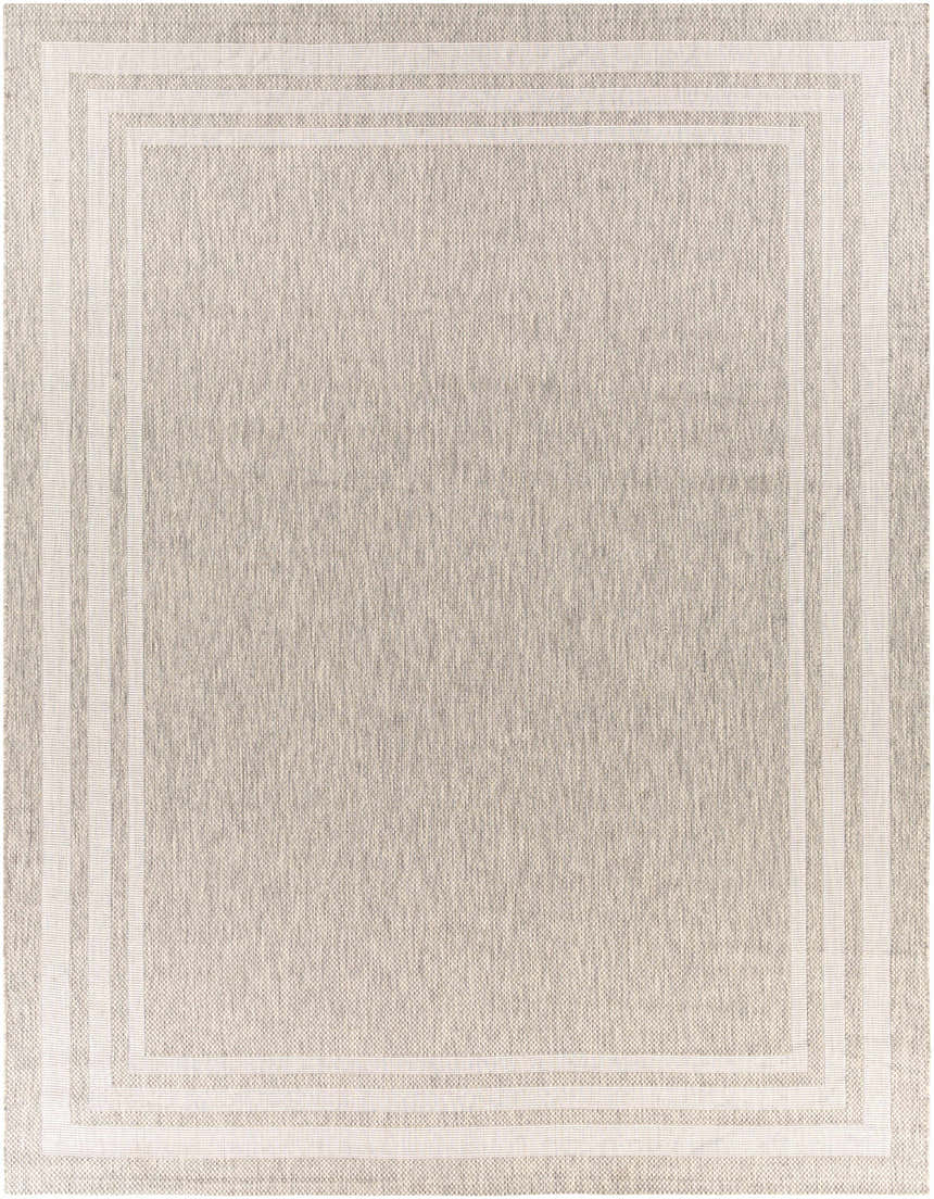 Close-up of the beige Burradoo Bordered Area Rug with a light beige and gray striped border. Design-Rectangle-710102
