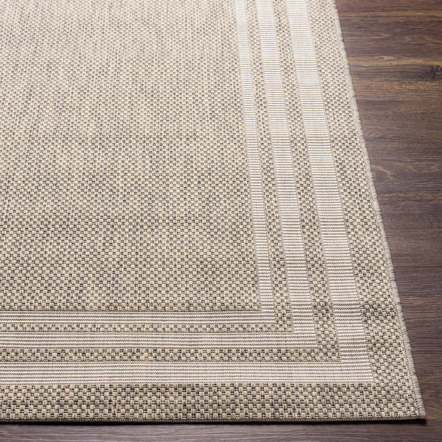 Close-up of the beige Burradoo Bordered Area Rug showing woven texture and striped border detail on a dark wood floor. Front