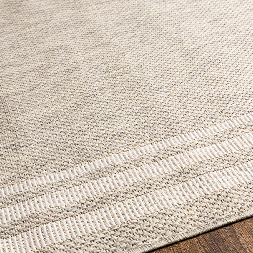 Close-up of the woven texture and bordered design of the beige and gray Burradoo Area Rug. Texture
