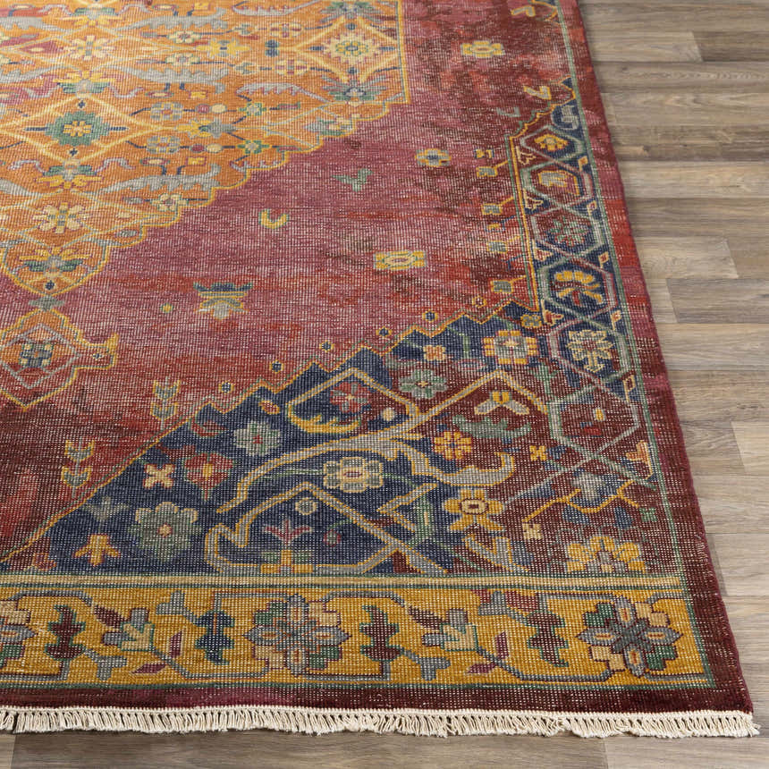 Close up of a Brush Premium Handmade Wool Rug in brick red, blue and gold on wood flooring. Front