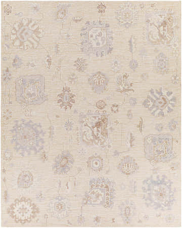 Close-up of the Bulusan Premium Rug. Beige rug with traditional oriental pattern in cream, brown, and light gray hues. Design-Rectangle-810