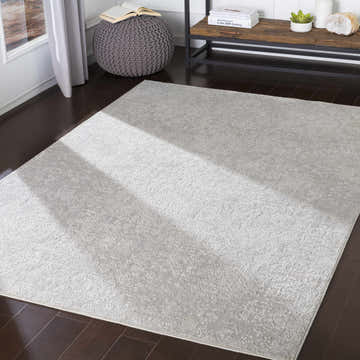 Living room scene with a light gray Canaseraga Area Rug, pouf, and wood console table. Roomscene-Rectangle