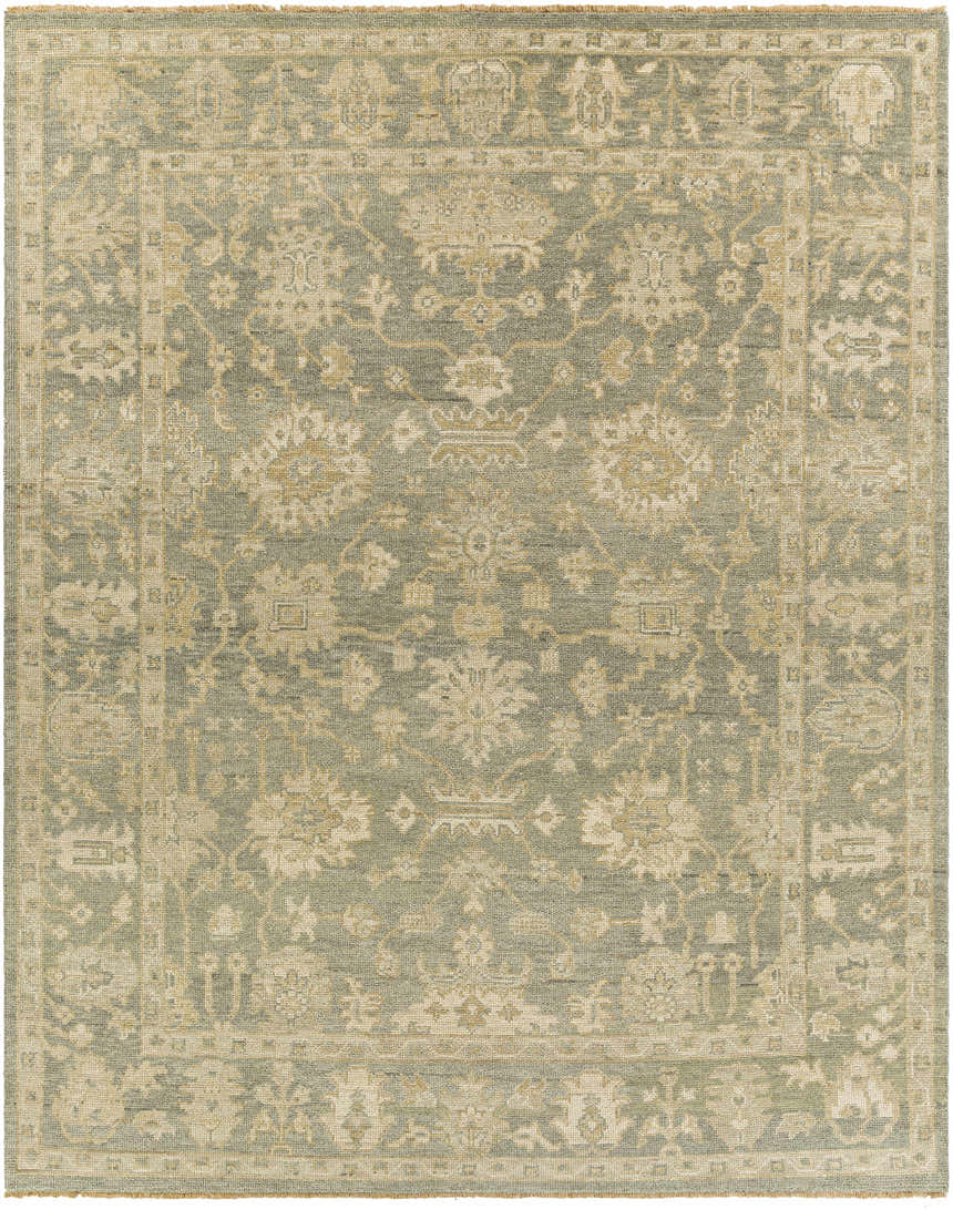 Close-up of the hand-knotted Chalgrove Area Rug. Beige, dusty sage, and light brown oriental rug pattern. 100% wool texture. Design-Rectangle-810