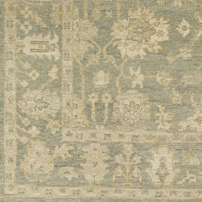 Close-up of the Chalgrove Area Rug. Beige and dusty sage oriental rug pattern with light brown and tan details. Swatch